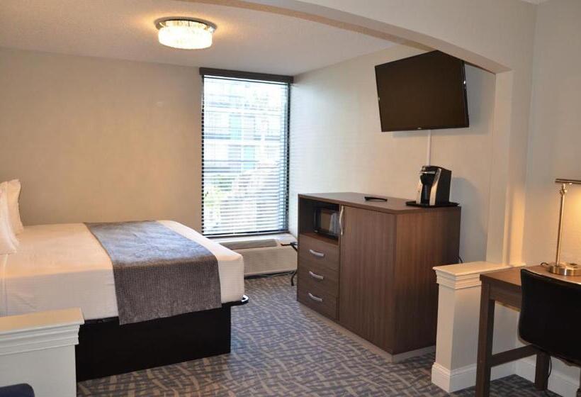 اتاق اجرایی با تخت بزرگ, Opal Hotel & Suites
