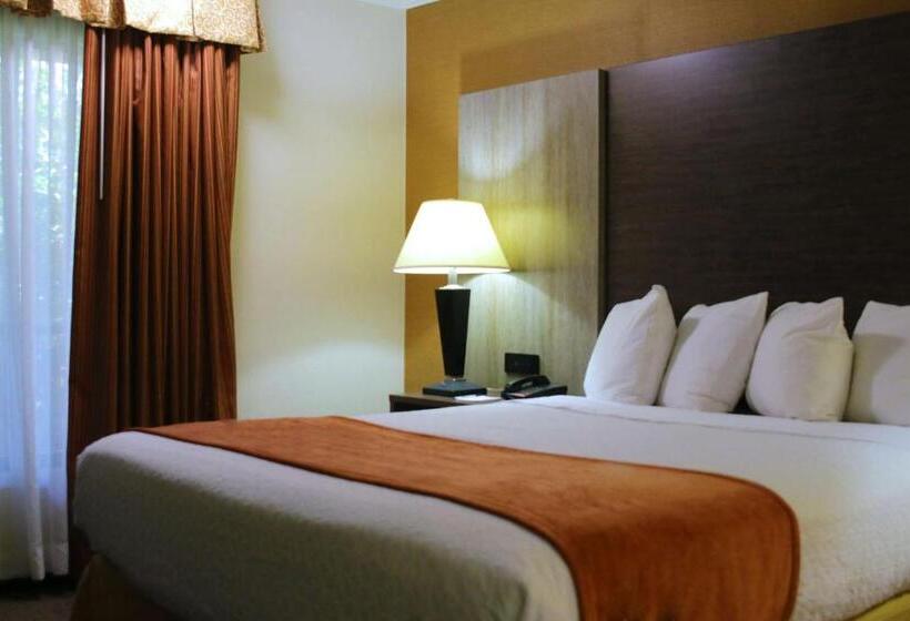 Номер Стандарт, Best Western Galleria Inn & Suites