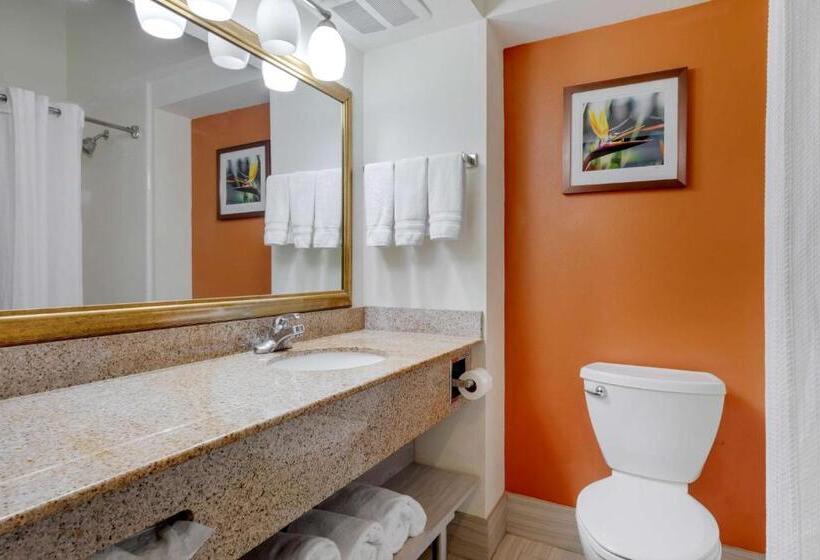 Стандартный Номер Кровать Кинг, Best Western Plus Rockwall Inn & Suites