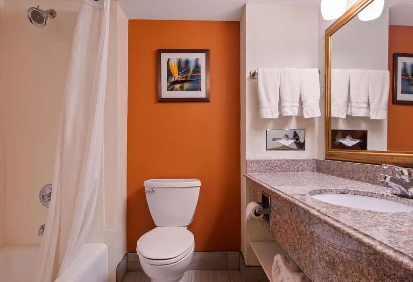 Люкс Кровать Кинг, Best Western Plus Rockwall Inn & Suites