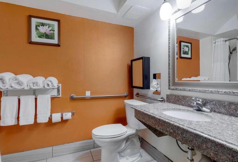Люкс Адаптированный для Инвалидов, Best Western Plus Rockwall Inn & Suites