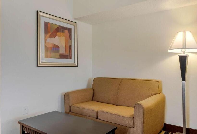 Люкс Адаптированный для Инвалидов, Best Western Plus Rockwall Inn & Suites