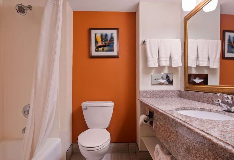 Номер Стандарт 2 Двуспальные Кровати, Best Western Plus Rockwall Inn & Suites