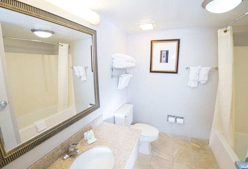 Номер Стандарт 2 Двуспальные Кровати, Clarion Hotel & Conference Center Leesburg