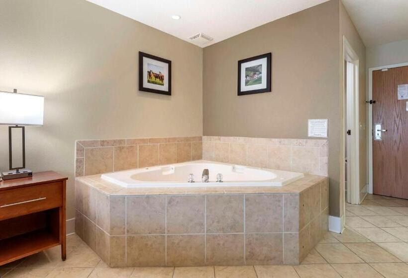Стандартный Номер Кровать Кинг, Comfort Inn & Suites Black River Falls I94