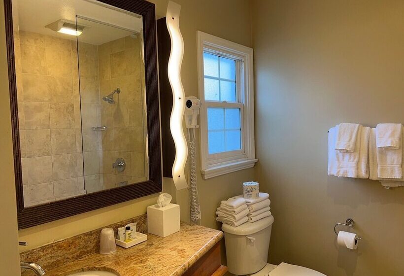 Номер Стандарт, Holiday Inn Express And Suites La Jolla   Windansea Beach, And Ihg
