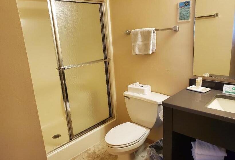 스위트 킹사이즈 침대, Homestead Suites   Fish Creek