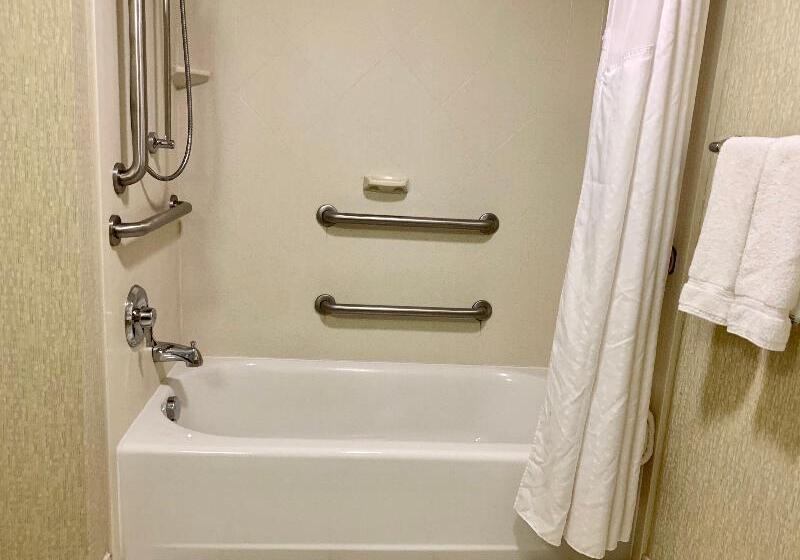 장애인을 위한 킹사이즈 침대 스탠다드 룸, Holiday Inn & Suites Virginia Beach   North Beach, An Ihg
