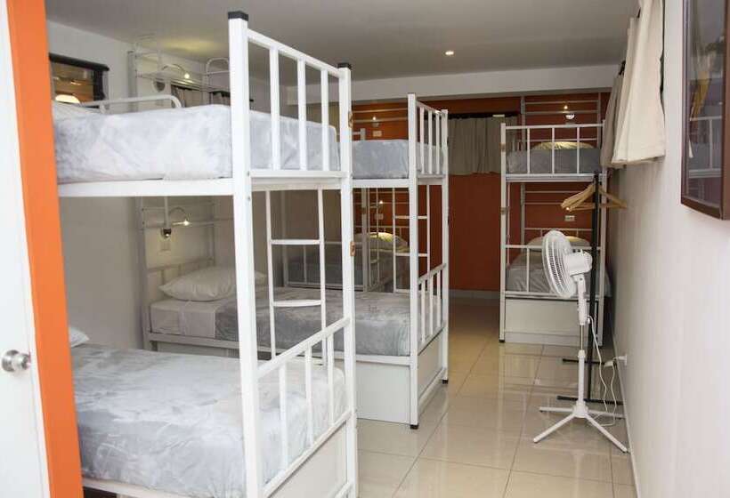 공동 객실, Del Paseo   Hostel