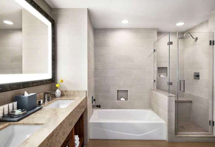 스위트, Roanoke & Conference Ctr, Curio Collection By Hilton 