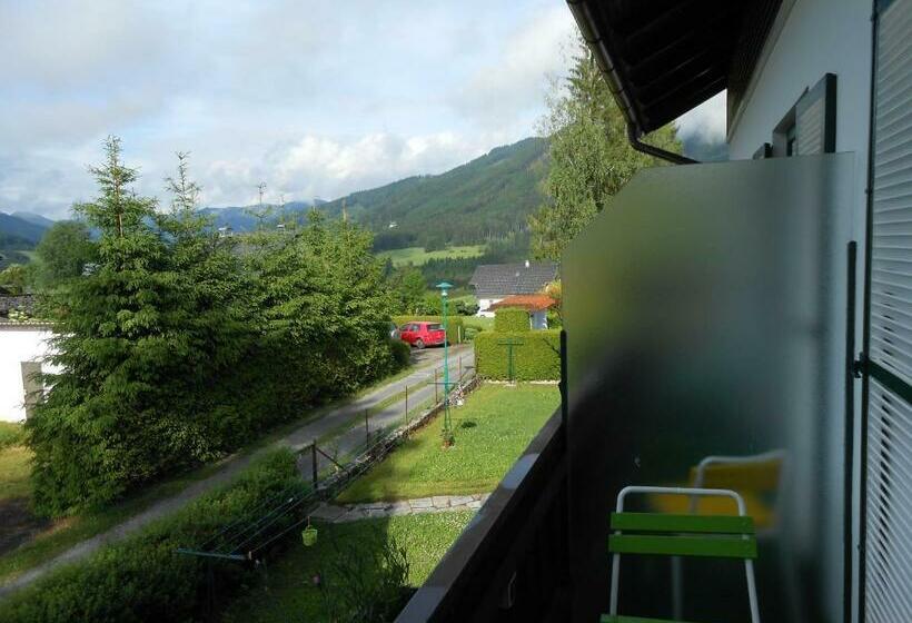 Номер Deluxe Одноместный, Pension Gierlinger