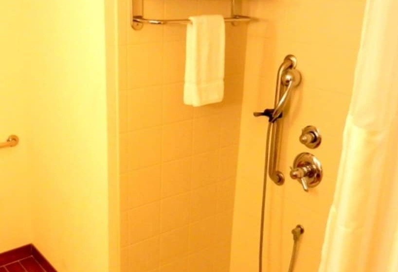 Номер Стандарт Адаптированный для Инвалидов, Hilton Garden Inn Pascagoula