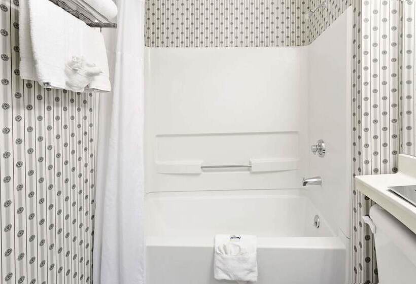 חדר סטנדרט, Microtel Inn & Suites By Wyndham Denver Airport
