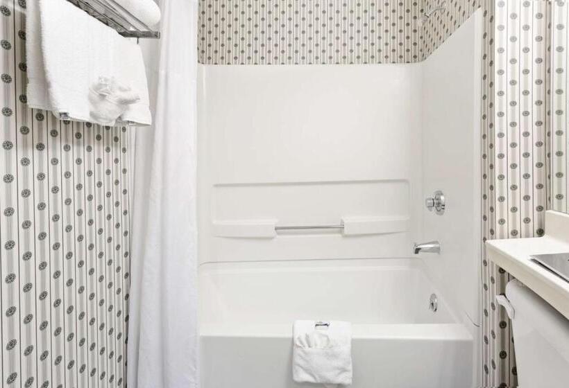 חדר סטנדרט, Microtel Inn & Suites By Wyndham Denver Airport