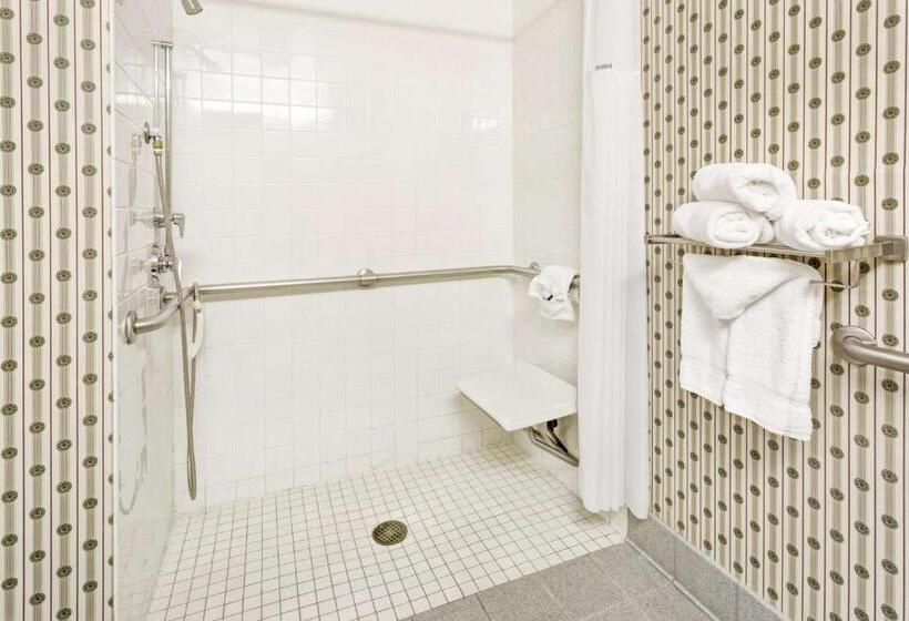 חדר סטנדרט מותאם לאדם עם מוגבלויות, Microtel Inn & Suites By Wyndham Denver Airport