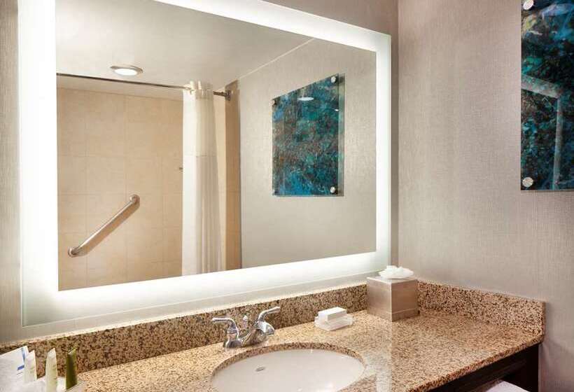 キングサイズベッドのスタンダードルーム, Hilton Atlanta/marietta Hotel & Conference Center