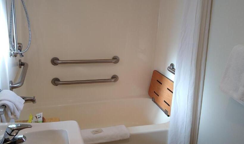 Четырехместный Номер Deluxe, Ponderosa Motel