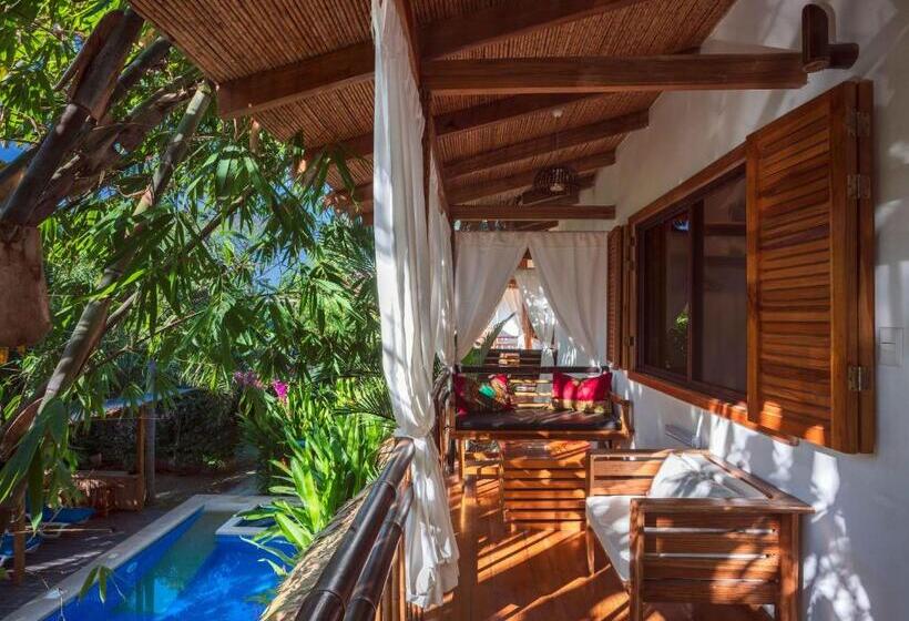 Номер Стандарт Вид на Бассейн, Black Bamboo B&b