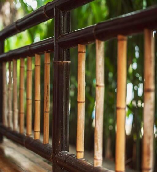 Номер Стандарт Вид на Бассейн, Black Bamboo B&b