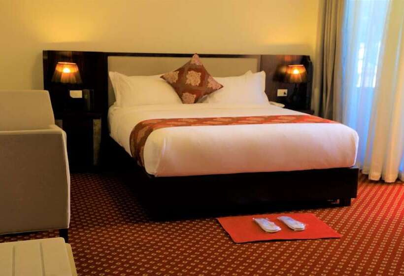 Deluxe Room, Tewodros Belay International