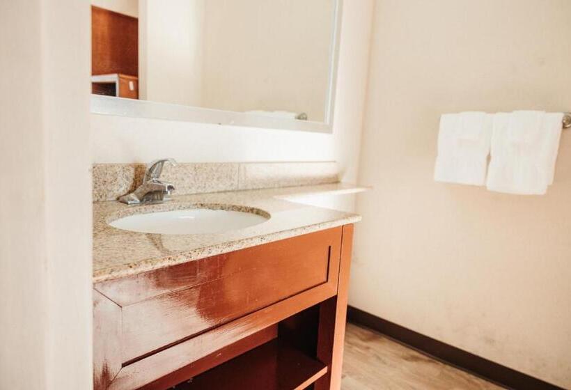 Номер Стандарт Индивидуальный, Reidsville Inn & Suites
