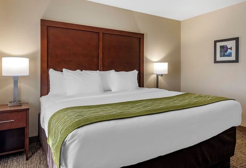스위트 킹사이즈 침대, Comfort Inn & Suites Pueblo