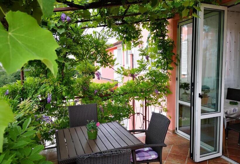 Camera Standard, Apartment & Rooms Graciela