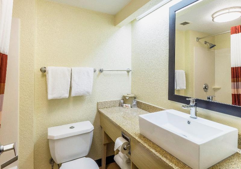 Standaardkamer met Kingsize Bed, Red Roof Inn Plus+ West Palm Beach