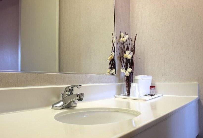 Номер Стандарт 2 Двуспальные Кровати, Regency Inn Richmond
