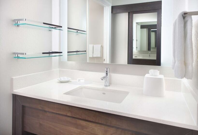Люкс, Sonesta Es Suites Raleigh Durham Airport Morrisville