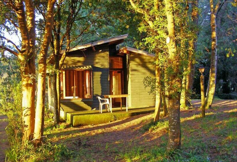 침실 1개 아파트, Cabañas Vista Al Lago
