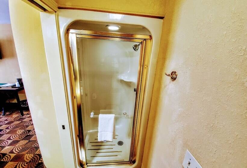 Номер Стандарт 2 Двуспальные Кровати, Quality Inn Brunswick Cleveland South