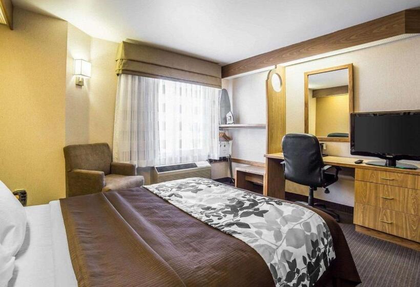 Стандартный Номер Кровать Кинг, Quality Inn Moab Slickrock Area