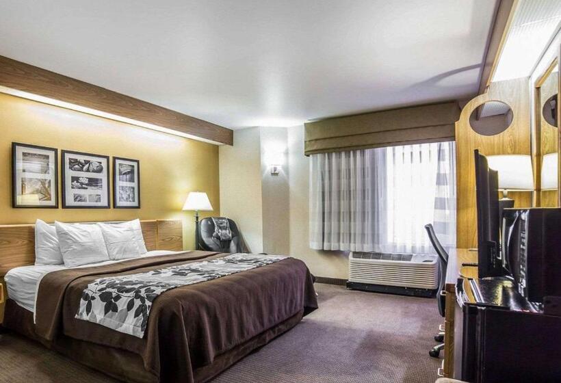 Стандартный Номер Кровать Кинг, Quality Inn Moab Slickrock Area