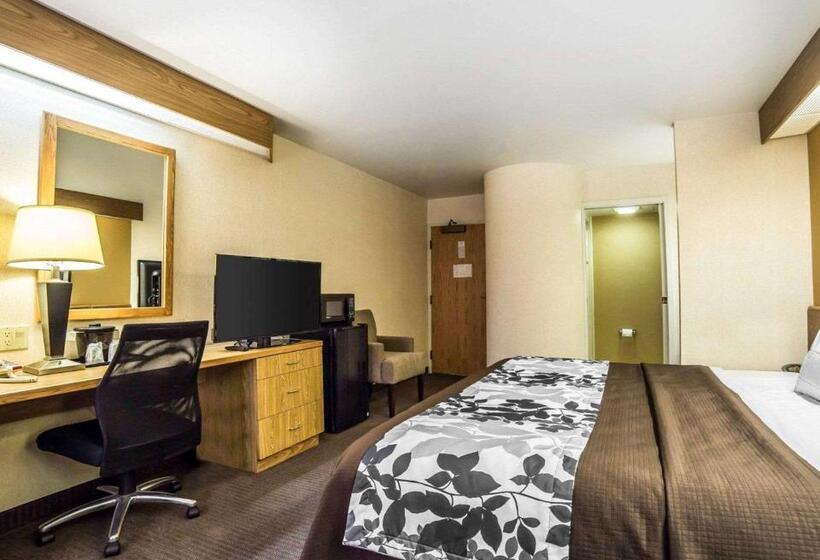 Стандартный Номер Кровать Кинг, Quality Inn Moab Slickrock Area
