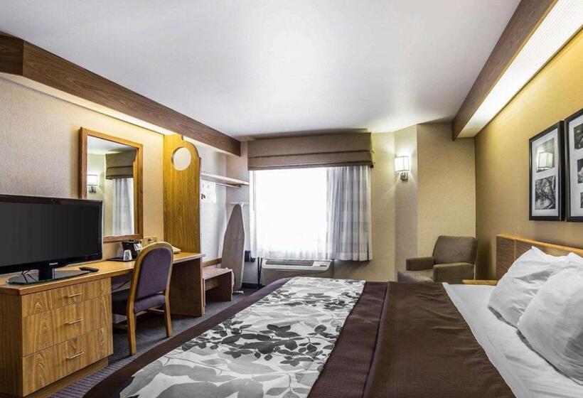 Номер Стандарт Адаптированный для Инвалидов, Quality Inn Moab Slickrock Area