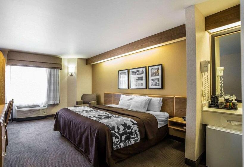 Номер Стандарт Адаптированный для Инвалидов, Quality Inn Moab Slickrock Area