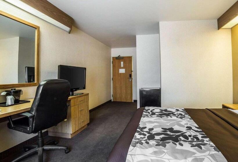 Номер Стандарт Адаптированный для Инвалидов, Quality Inn Moab Slickrock Area
