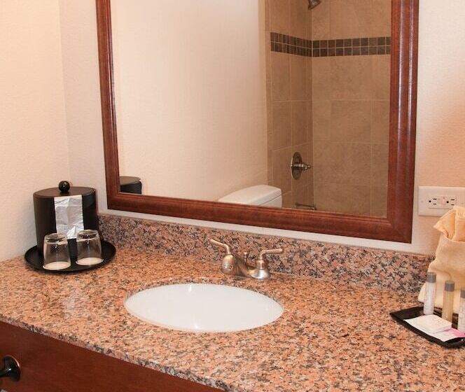 Номер Deluxe, Ramada By Wyndham Elko Hotel At Stockmen S Casino