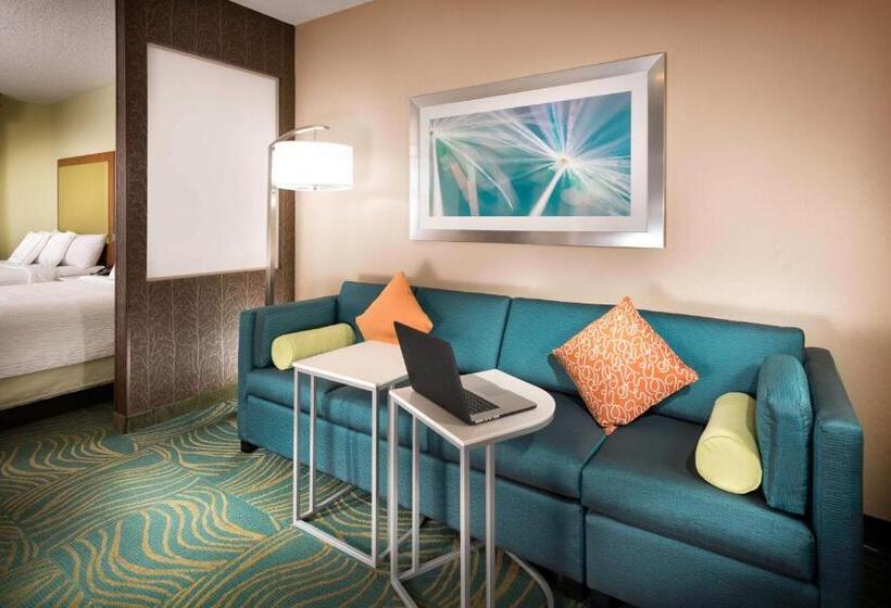 스위트 킹사이즈 침대, Springhill Suites By Marriott Bentonville