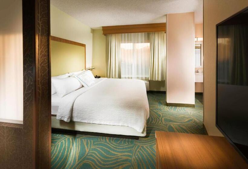 장애인을 위한 스위트, Springhill Suites By Marriott Bentonville