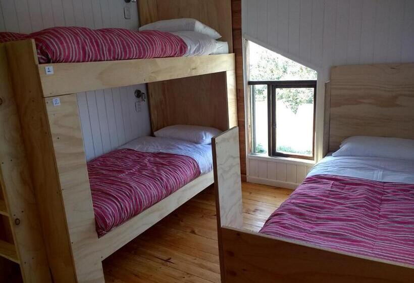 Кровать в Общей Комнате, Quilda Hostel