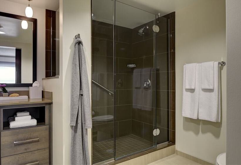 Люкс, Hyatt House Parsippany Whippany