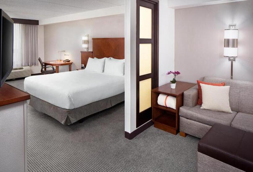 Стандартный Номер Кровать Кинг, Hyatt Place Dallas/north Arlington/grand Prairie