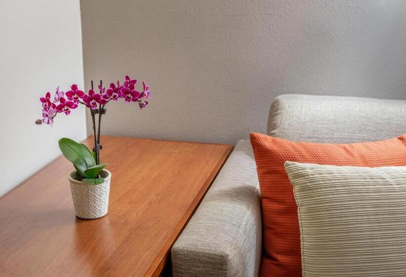 Стандартный Номер Кровать Кинг, Hyatt Place Dallas/north Arlington/grand Prairie