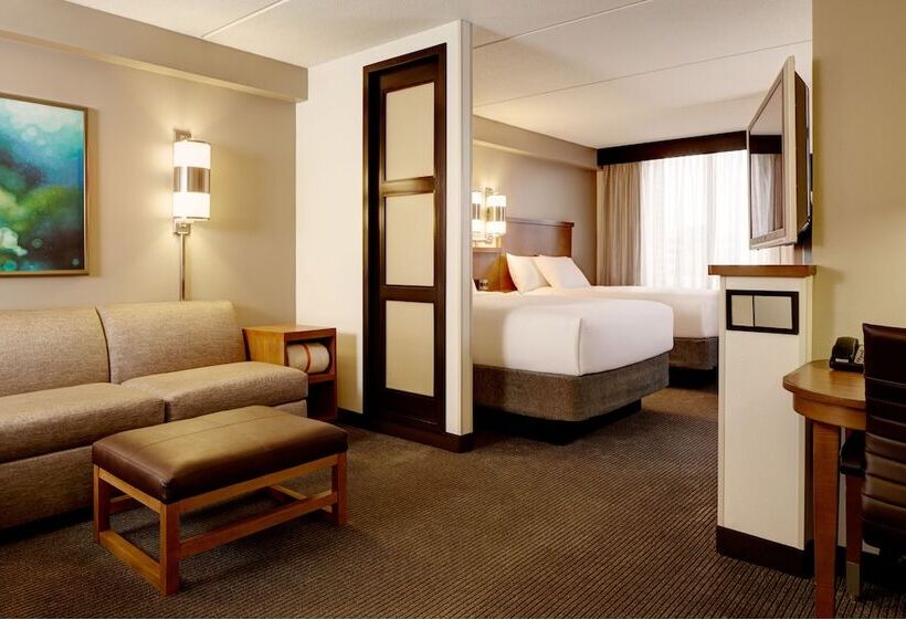 Номер Стандарт 2 Двуспальные Кровати, Hyatt Place Dallas/north Arlington/grand Prairie