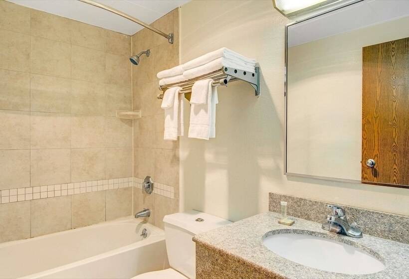 豪华房间, Super 8 By Wyndham Stamford/new York City Area