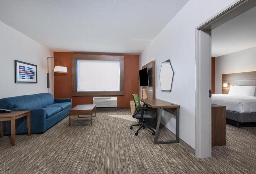 Люкс Кровать Кинг, Holiday Inn Express & Suites   Colorado Springs South I 25, An Ihg
