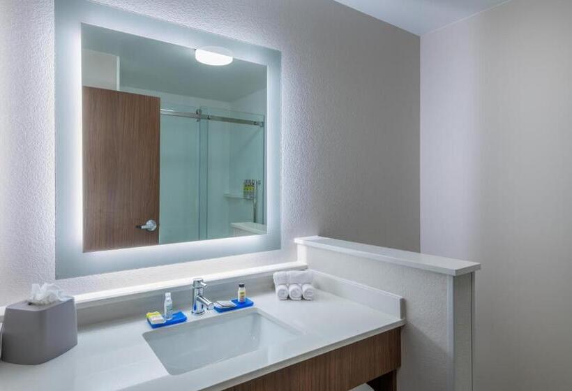 Люкс Адаптированный для Инвалидов, Holiday Inn Express & Suites   Colorado Springs South I 25, An Ihg