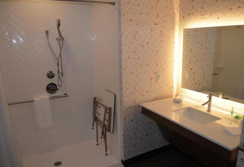 适合残疾人使用的标准间, Holiday Inn   Nw Houston Beltway 8, An Ihg